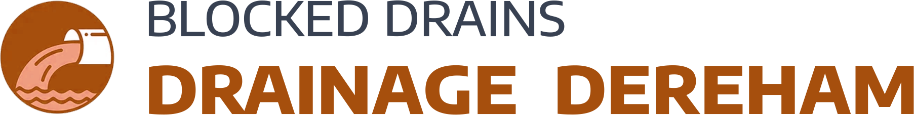 website logo